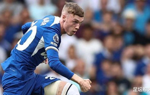 原来，欧冠席位竞争最惨烈的联赛，是德甲——最后一轮，这三个球队的关系太微妙