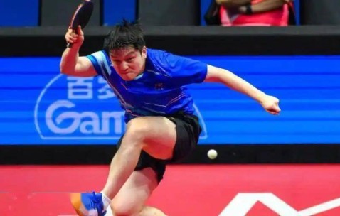 25欧站票炒到180欧！28岁樊振东让18万德国小城沸腾，德甲60周年首页把他放进传奇C位