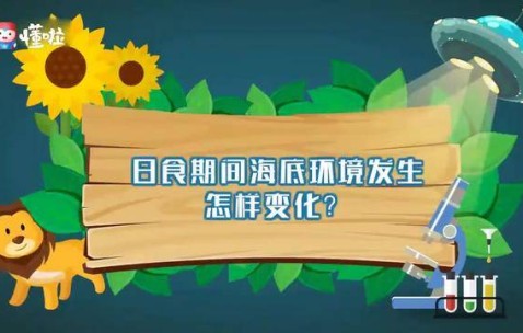 本泽马金球奖赛季，皇马欧冠夺冠核心